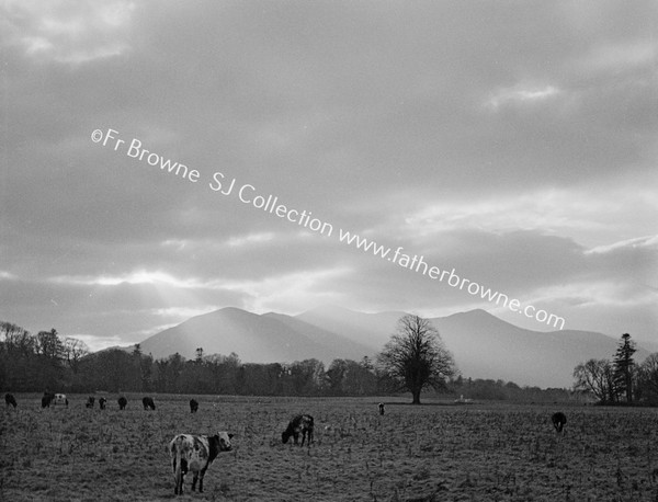 VARIOUS SHOTS IN DEMESNE CLOUDS OVER TOOMIES MOUNTAINS